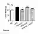 Fig. 06 - Compositions for improved body composition