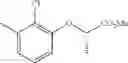 Fig. 293 - PPARG modulators for treatment of osteoporosis