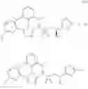 Fig. 1002 - Intermediates for preparing triazole agonists of the APJ receptor