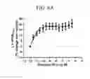 Fig. 12 - Intermediates for preparing triazole agonists of the APJ receptor