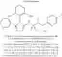Fig. 596 - Intermediates for preparing triazole agonists of the APJ receptor