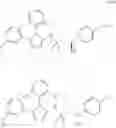 Fig. 634 - Intermediates for preparing triazole agonists of the APJ receptor