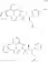 Fig. 867 - Intermediates for preparing triazole agonists of the APJ receptor
