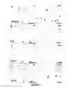 Fig. 15 - Methods and compounds for preventing osteoarthritis