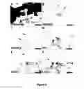 Fig. 17 - Methods and compounds for preventing osteoarthritis