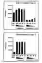 Fig. 01 - Syk inhibitors