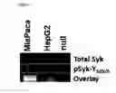 Fig. 04 - Syk inhibitors
