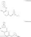 Fig. 12 - Methods of blocking the CXCR-4/SDF-1 signaling pathway with inhibitors of bruton's tyrosine kinase
