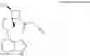 Fig. 08 - SKIN BARRIER FUNCTION IMPROVING AGENT