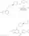 Fig. 166 - IRAK INHIBITORS AND USES THEREOF