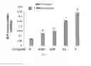 Fig. 08 - Compounds and compositions for ossification and methods related thereto