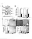 Fig. 05 - Composition for preventing or treating fatty liver diseases