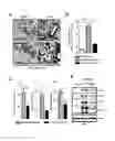 Fig. 06 - Composition for preventing or treating fatty liver diseases