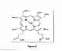 Fig. 03 - FORMULATIONS AND USES FOR MICROPARTICLE DELIVERY OF METALLOPORPHYRINS