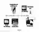 Fig. 04 - FORMULATIONS AND USES FOR MICROPARTICLE DELIVERY OF METALLOPORPHYRINS