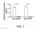 Fig. 02 - Modulation of inflammation using progesterone metabolites