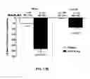 Fig. 25 - Compositions of obeticholic acid and methods of use