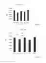Fig. 05 - COMBINATION OF BETA-GLUCOSYLCERAMIDE AND POLYETHOXYLATED CASTOR OIL AND OTHER ADJUVANTS FOR CONTROLING BLOOD SUGAR LEVELS, IMMUNOPROTECTION AND HEPATOPROTECTION