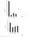 Fig. 06 - COMBINATION OF BETA-GLUCOSYLCERAMIDE AND POLYETHOXYLATED CASTOR OIL AND OTHER ADJUVANTS FOR CONTROLING BLOOD SUGAR LEVELS, IMMUNOPROTECTION AND HEPATOPROTECTION