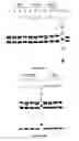 Fig. 18 - METHODS FOR INHIBITING COMPLEMENT ACTIVATION AND USES THEREOF