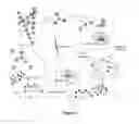 Fig. 02 - COMPOSITION FOR PROPHYLAXIS AND TREATMENT OF BONE DISORDERS
