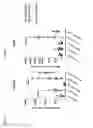 Fig. 02 - Peptides and combination of peptides for use in immunotherapy against epithelial ovarian cancer and other cancers