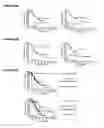 Fig. 06 - Peptides and combination of peptides for use in immunotherapy against epithelial ovarian cancer and other cancers