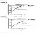 Fig. 08 - Peptides and combination of peptides for use in immunotherapy against epithelial ovarian cancer and other cancers