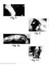 Fig. 07 - Compositions and methods for treating itching, gingivostomatitis, and demodectic mange