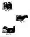 Fig. 08 - Compositions and methods for treating itching, gingivostomatitis, and demodectic mange