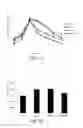 Fig. 07 - Biologically pure strain and composition thereof for treating metabolic syndrome