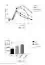 Fig. 08 - Biologically pure strain and composition thereof for treating metabolic syndrome