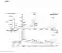 Fig. 03 - Pharmaceutical composition comprising extract, fraction of same or compound separated from same for preventing or treating chronic obstructive pulmonary disease (COPD)