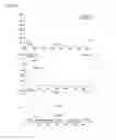 Fig. 05 - Pharmaceutical composition comprising extract, fraction of same or compound separated from same for preventing or treating chronic obstructive pulmonary disease (COPD)