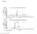Fig. 07 - Pharmaceutical composition comprising extract, fraction of same or compound separated from same for preventing or treating chronic obstructive pulmonary disease (COPD)
