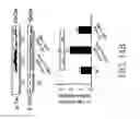 Fig. 35 - METHOD FOR TREATING OR SUPPRESSING DEGENERATIVE BRAIN DISEASES BY CHINESE HERBAL MEDICINE COMPOSITION