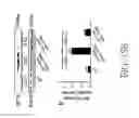 Fig. 37 - METHOD FOR TREATING OR SUPPRESSING DEGENERATIVE BRAIN DISEASES BY CHINESE HERBAL MEDICINE COMPOSITION