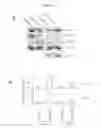 Fig. 08 - Uses of hypoxia-inducible factor inhibitors