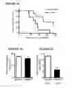 Fig. 06 - Compositions and methods for treating cancers associated with ETBR activation