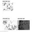 Fig. 16 - Compositions and methods for treating cancers associated with ETBR activation
