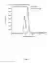 Fig. 10 - Compositions and methods for treating disease using T3SS effector protein (SipA)