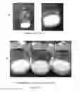 Fig. 08 - Lyophilized formulation comprising tat-NR2B9C, histidine and trehalose