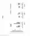 Fig. 09 - Lyophilized formulation comprising tat-NR2B9C, histidine and trehalose