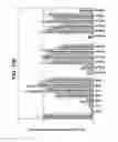Fig. 28 - Methods and compositions for treating Huntington's Disease