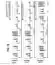 Fig. 35 - Methods and compositions for treating Huntington's Disease