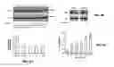 Fig. 08 - Compositions and Methods for Inhibiting Pro-Inflammatory Cytokine Gene Expression