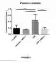 Fig. 12 - TREATMENT OF NEPHROPATHY