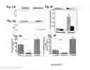 Fig. 05 - Methods and compositions for treating nephrogenic diabetes insipidus