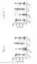 Fig. 08 - Yeast-based immunotherapy and type I interferon sensitivity