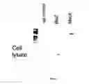Fig. 02 - Methods and materials for producing immune responses against polypeptides involved in antibiotic resistance